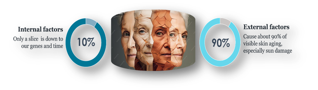 피부 세포 이미지