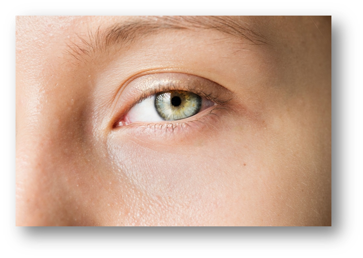 Diagram illustrating skin thickness comparison